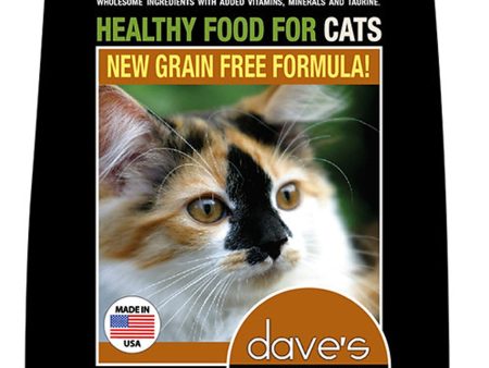 Daves Pet Food Naturally Healthy Adult Dry Cat Food 4 Lbs. on Sale