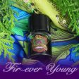 Fir-ever Young Organic Natural Perfume Online Sale