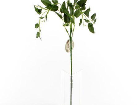 Artificial Plant (GN*LT GN 42cm) on Sale