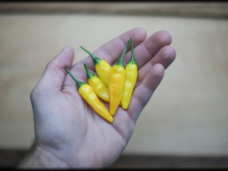 Aji Lemon Drop Seeds Discount