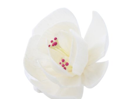 14cm Carnation Peony Reed Diffuser on Sale