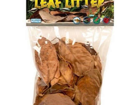 Zoo Med Aquarium Leaf Litter 1 Count   1 Oz by Zoo Med Sale