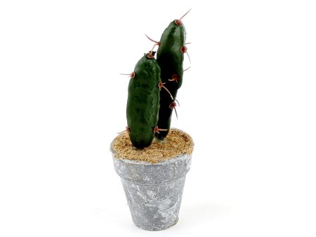 Artificial Cactus (3-Types GN GY) For Sale