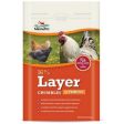 16% Layer Crumbles For Laying Hens 1 Count   8 Lbs by Manna Pro Online now