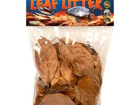 Zoo Med Turtle Leaf Litter 1 Count   1 Oz by Zoo Med For Sale